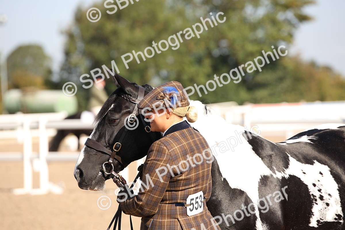 SBM_01491 - Class 15 IH Coloured