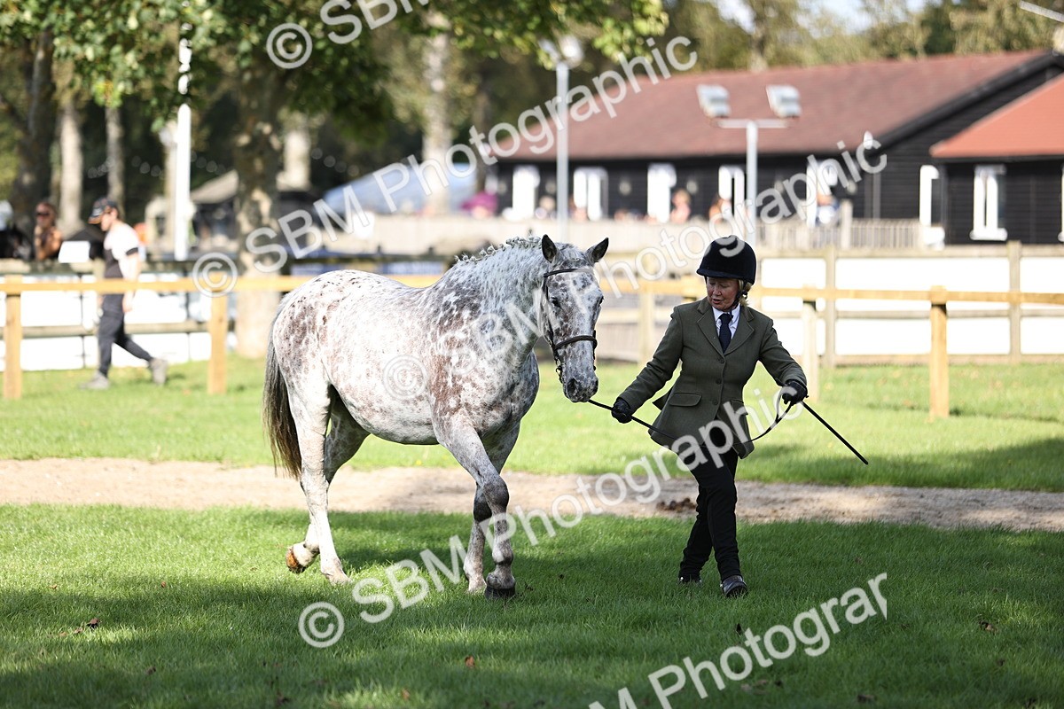 SBM_26238 - S5 - Novice & Newcomers In Hand