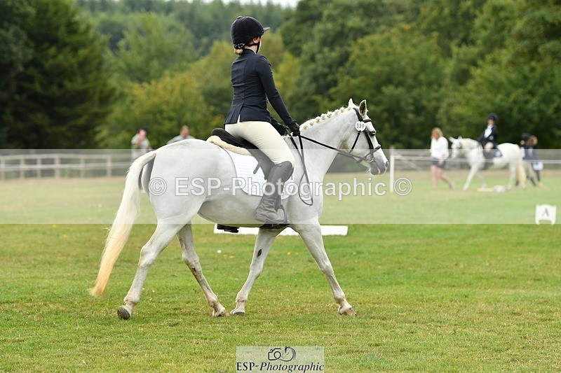 250820A-121812-05549 - 12 to 13.00