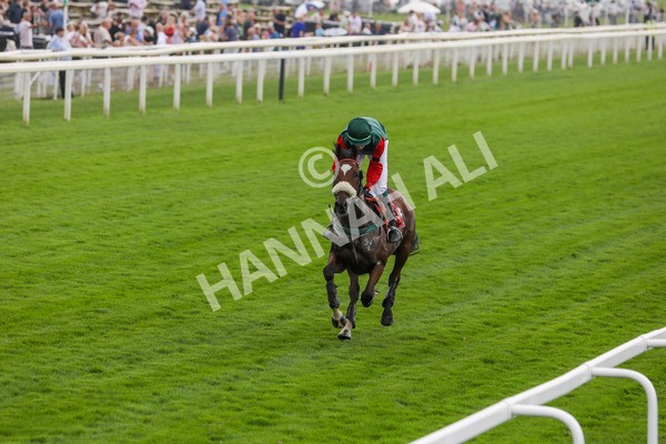 100923-Pony Race 2-3722 - Pony Race 2 12.45 The Dragon (TV and Film) Studios Pony Race 148cm & Under