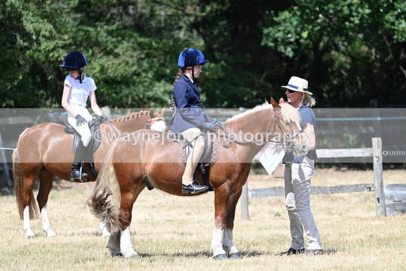 WJ7_3367 - Class 8 Ridden Veterans