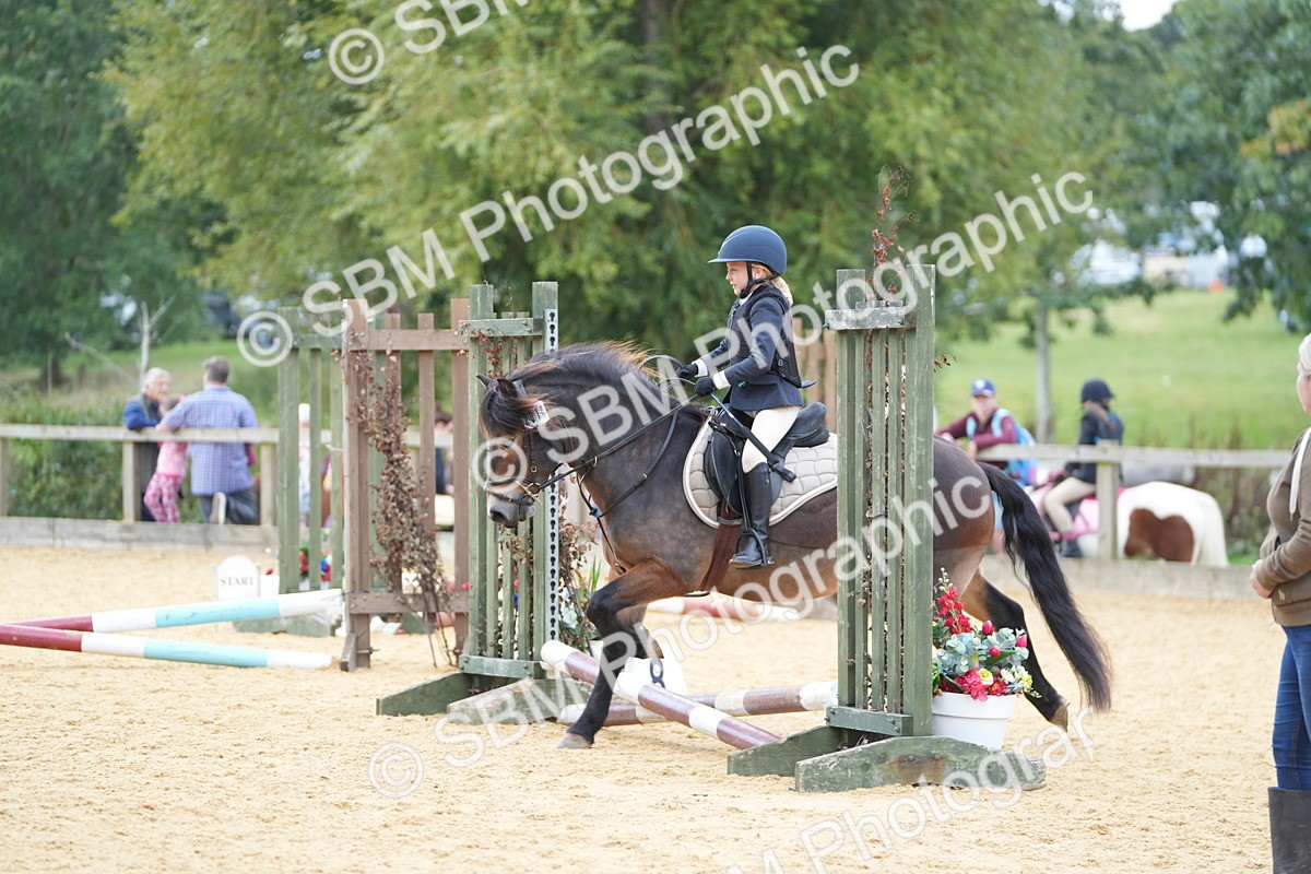 SBM_64357 - J2 - Mini Tour Junior Pony 30cm Championship