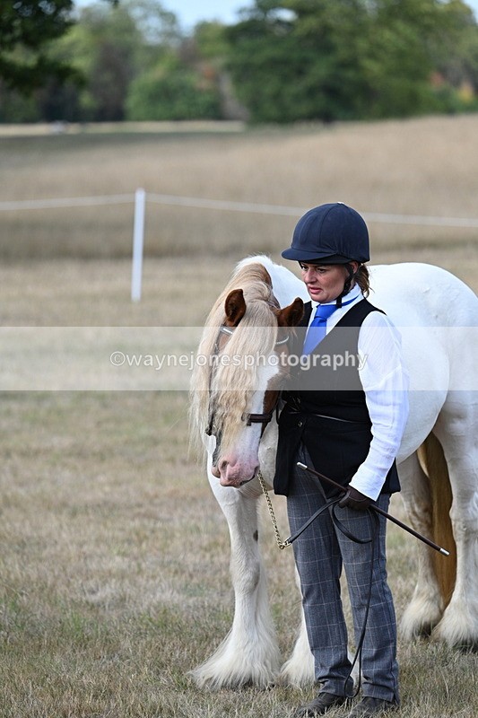 WJ7_8333 - In-hand Championship