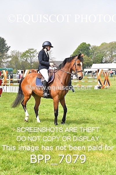 BPP_7079 - CLASS 3 RHS Fox Champ Qual (1.20m)