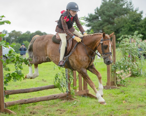 Dunblane show-73 - Dunblane and Doune Show Ring 1
