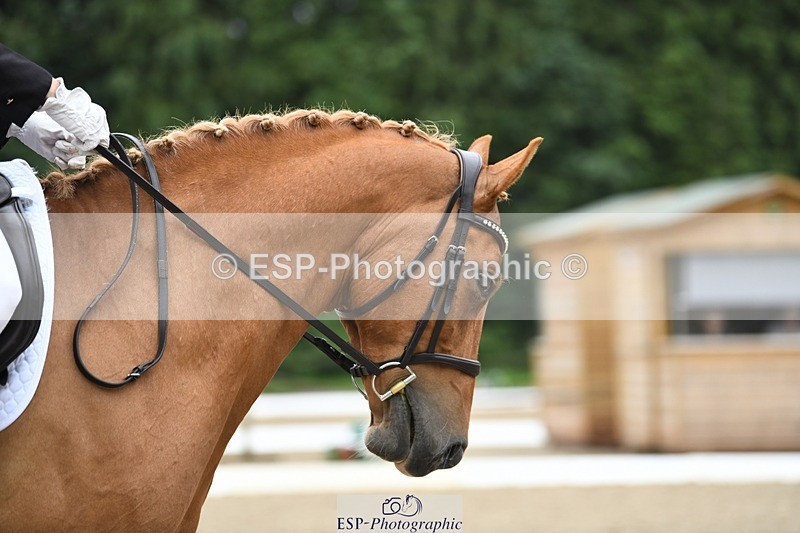 240720-111328-04216 - 155-Tamsin_OConnor-Riversides_Caballero