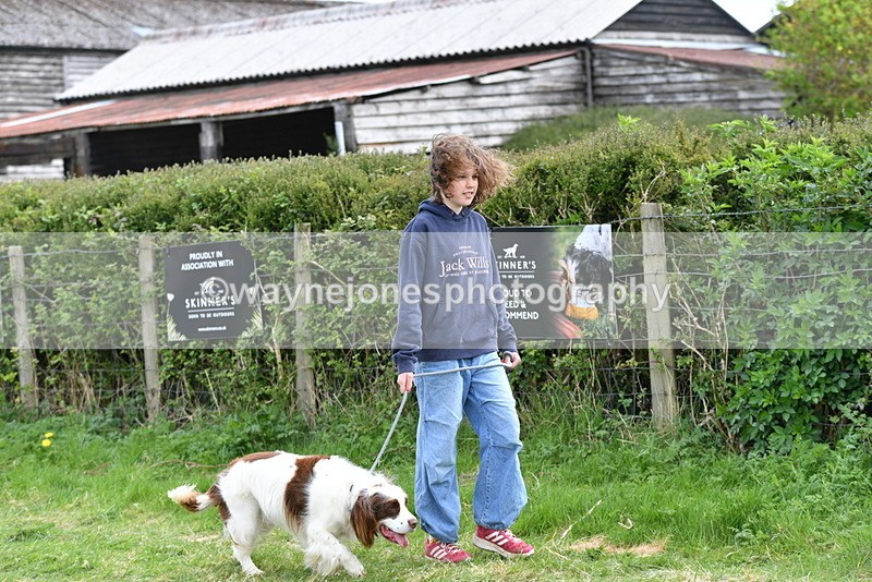 WJ5_9951 - Class 5 Best Veteran / 7 years & over