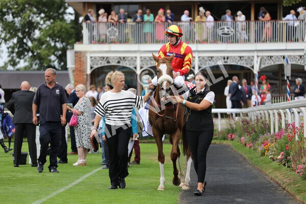 yr23072022r2-46 - Race 2 2.40pm Sky Bet Dash
