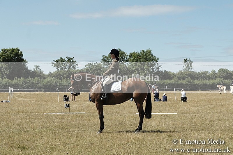 _PJP5855 - Dressage Classes BVRC Show 2018