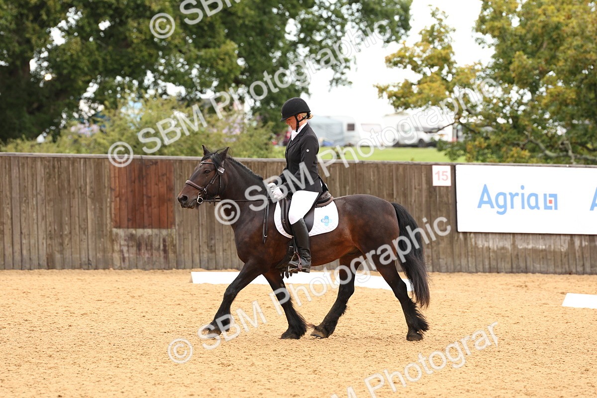 SBM_00587 - D1 - Small Tour Championship Intro 1