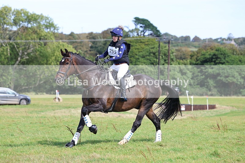 3E7A6905 - Class 2: Trekenning Open: Yellow Boat