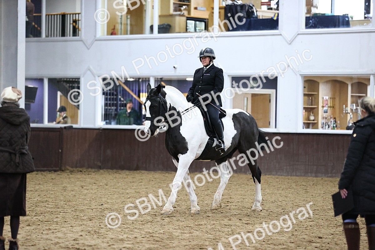 SBM_6363 - Class 45-42 - Ridden Irish Breeds-Ridden Cob