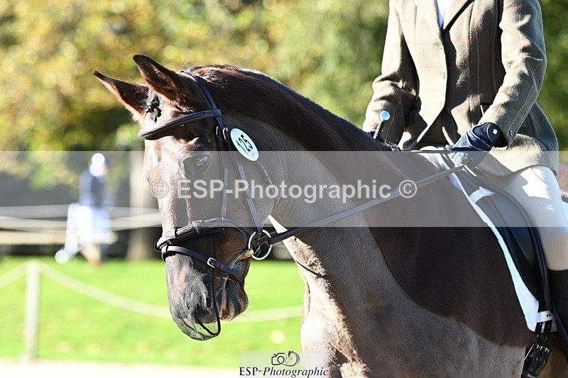 231110-102337-00067 - Cls 2 Prelim 17(a)Q