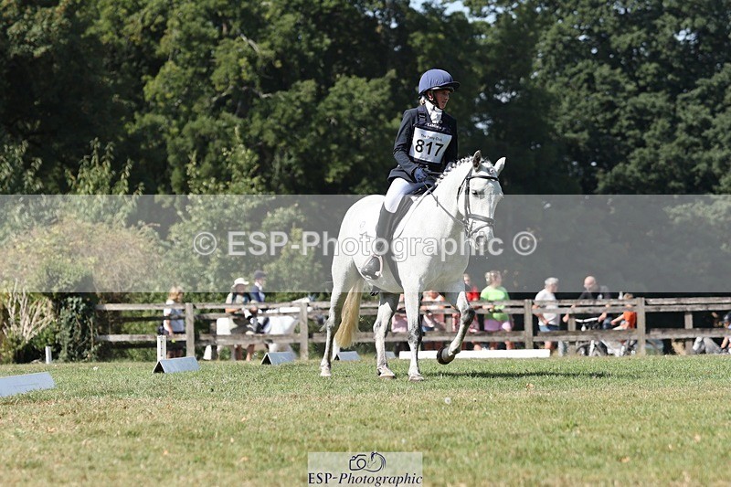 250823A-115759-29357 - Arena D