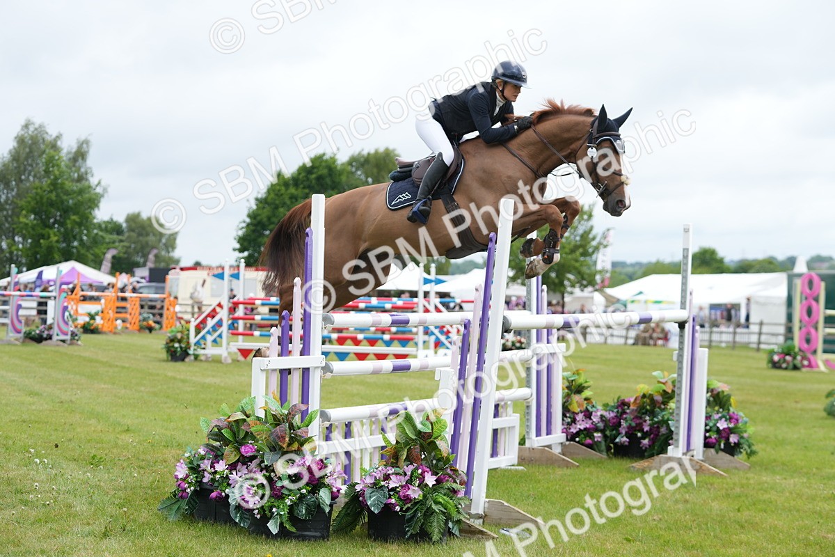 SBM_03184 - Class 201 - British Horse Feeds Speedi Beet Horse of the Year Show Grade  C