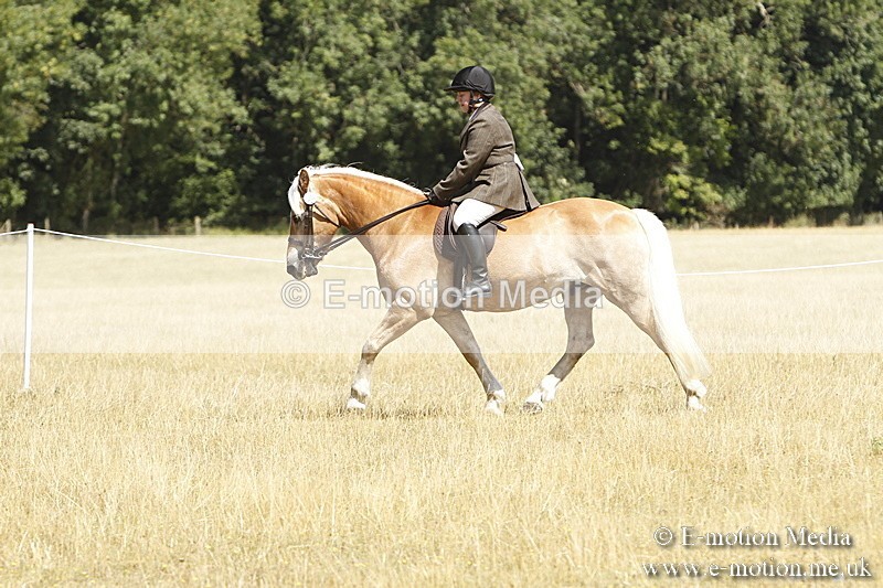 _BS_0751 - BVRC Show 2018 Ring 1