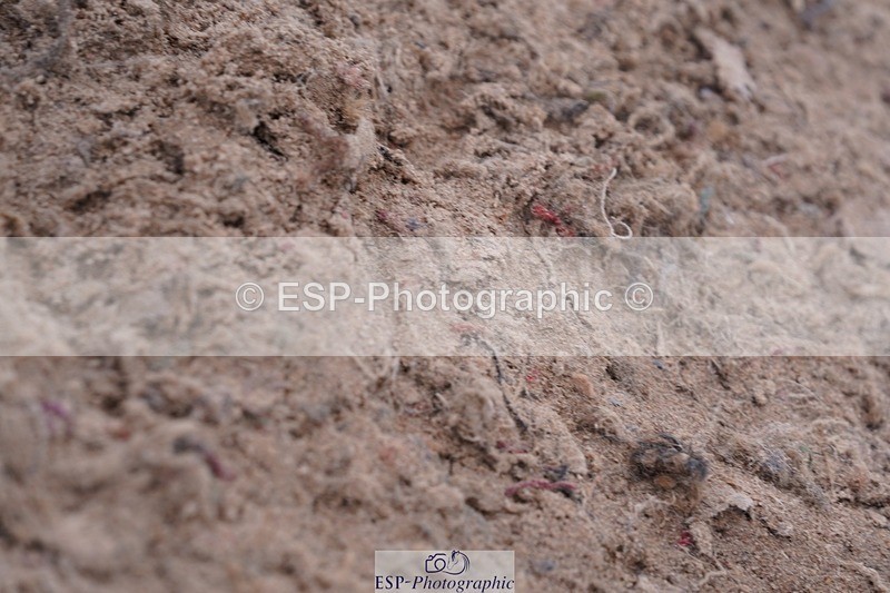 250628-114610-04383 - Cls 22 Springboard