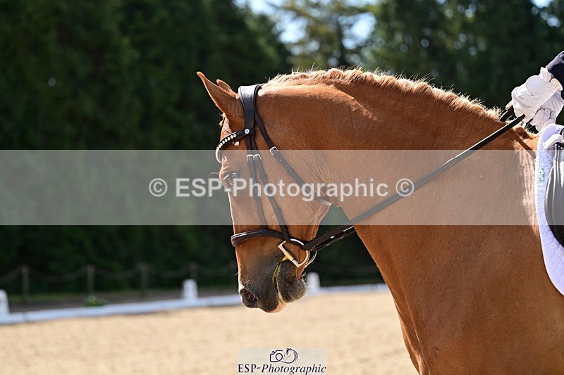 260731A-105539-00154 - Elementary Bronze 10.30 - Break