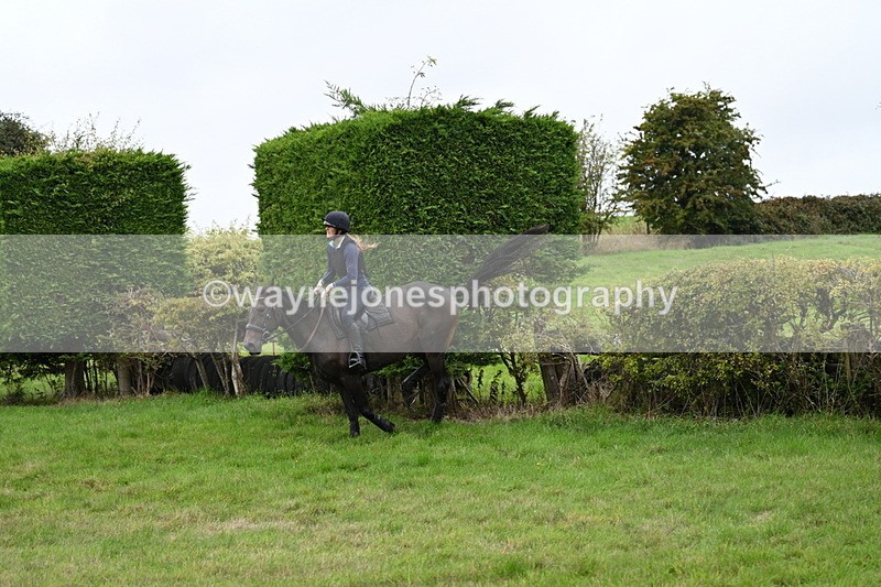 WJ7_9007 - Time 13:31 to 14:00