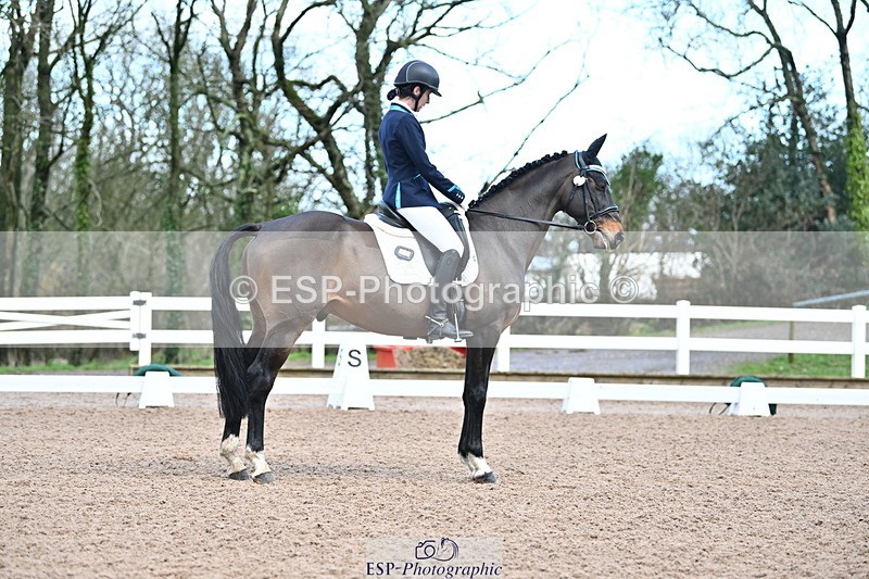 240218A-105353-05728 - 232-Alys.Matravers-VORVASHILL.VERTIGO