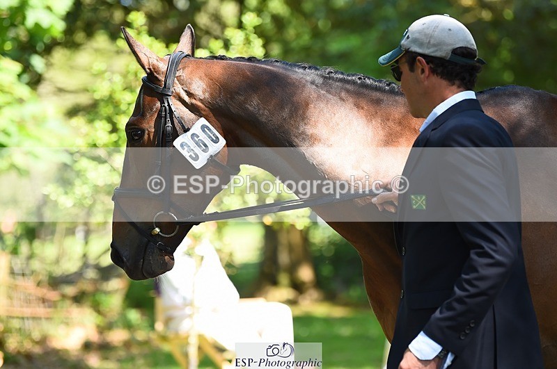 230524-153452-00372 - 360-NO_RUSH_ONE-Marcio_Carvalho_Jorge-WEDTrotUp+DR