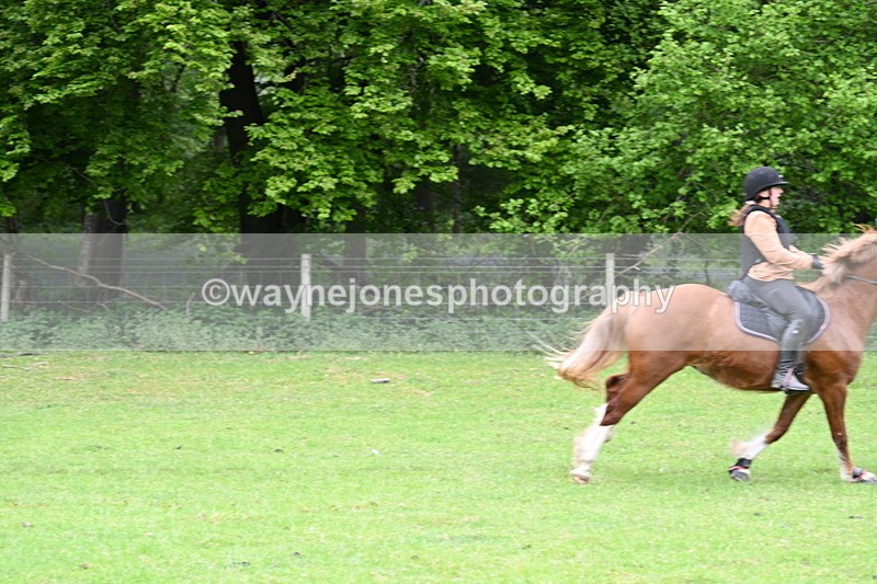 WJ7_2971 - Group 10 A&B Cameras