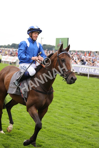 yr20082021r4-26 - Race 4 3.35pm Coolmore Wootton Bassett Nunthorpe Stakes (British Champions Series Race)