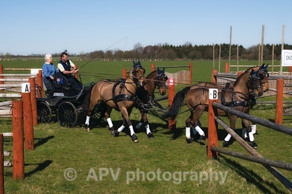 _DSC8850 - Ashfields Carriage & Polo Club