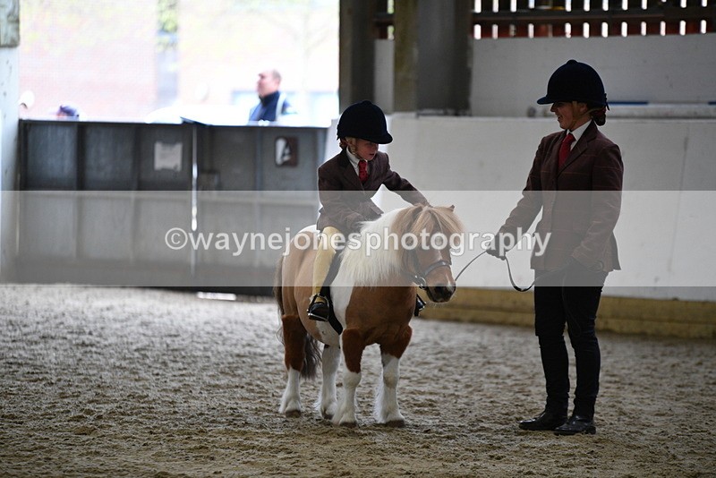WJ5_6790 - Class 10 Childs Pony