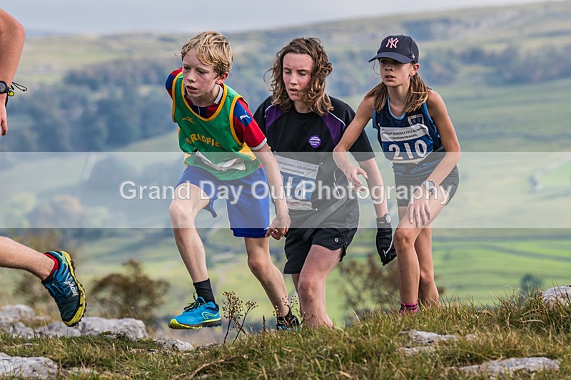 Year 8-9-79 - The English Schools Fell Running Championship Giggleswick Year 8-9 Sunday 6th October 2024