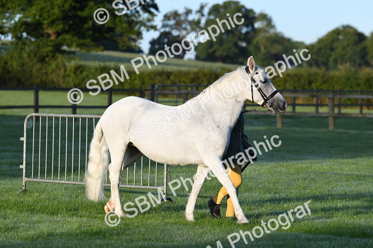 SBM_32413 - S15 - Condition & Turnout In Hand