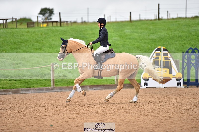 230808A-170402-00246 - 80cm