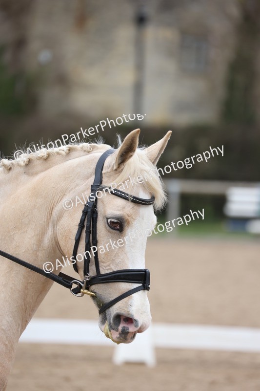 20260301-0467 - Class 3 - Novice 4