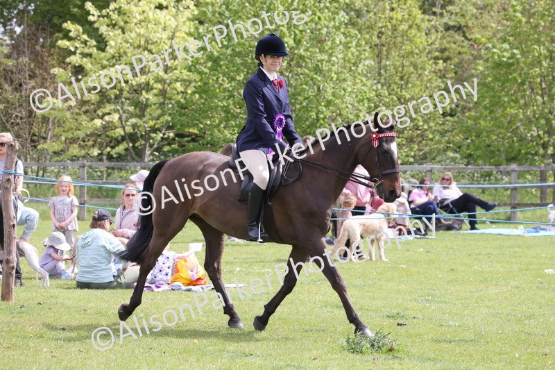 20260426-4063 - Class 33 - Best Pony 14.2hh and Under