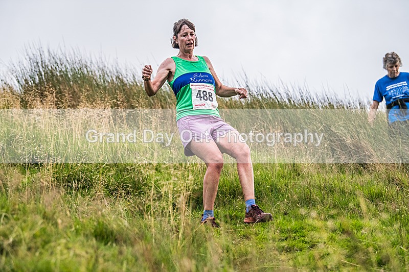 Steel Fell-812 - Steel Fell Race Wednesday 6th August 2025