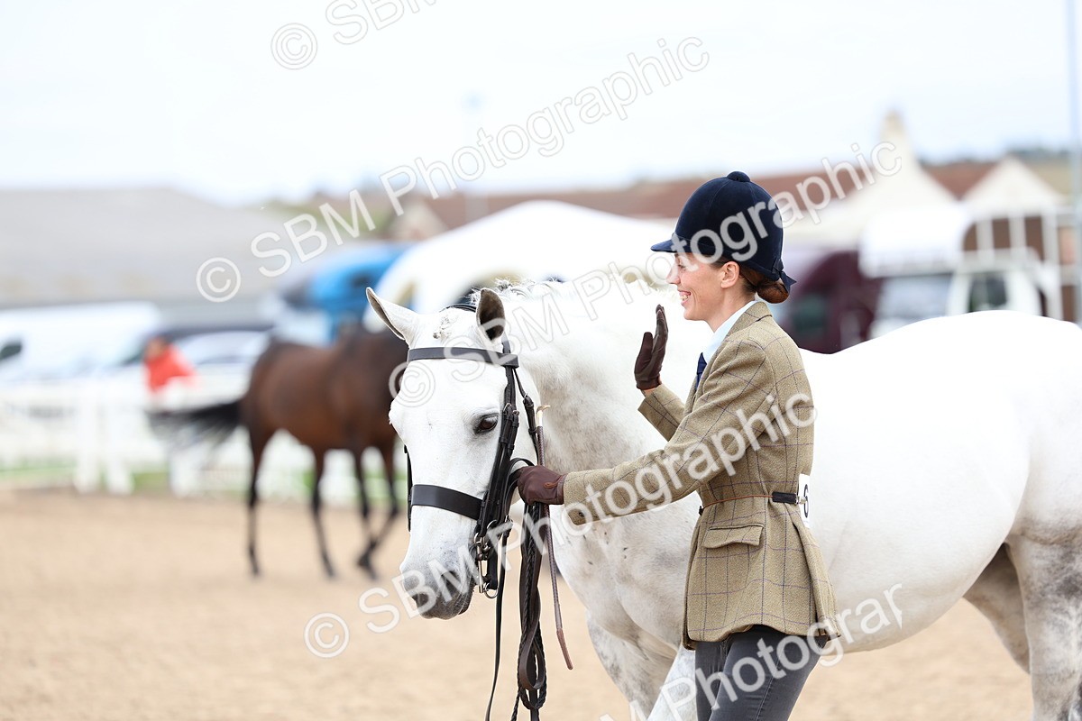 SBM_05783 - Class 28 - IH Veteran Horse