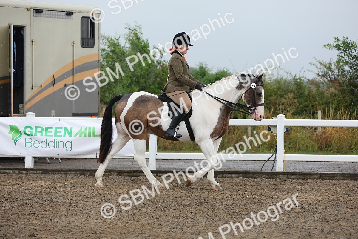 SBM_20539 - Class 804 - Ridden Veteran Pony