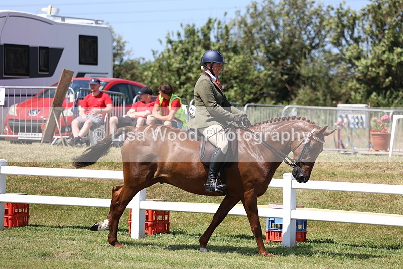 3E7A7707 - Class 7: Open Riding Horse