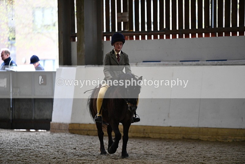 WJ5_6911 - Class 10 Childs Pony