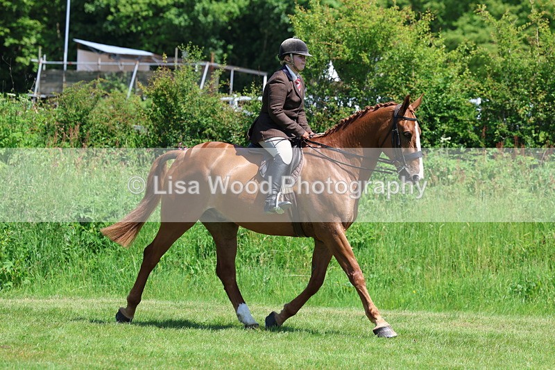 3E7A8244 - Class 13: Ridden Hunter