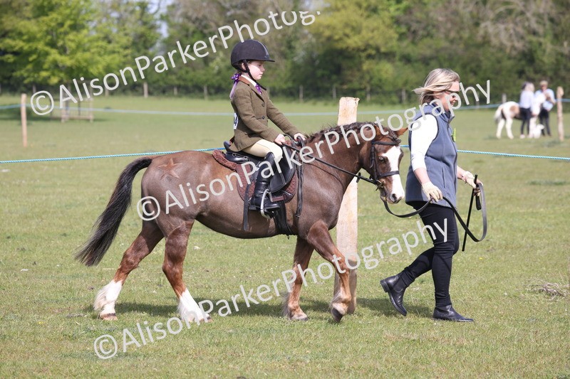20260426-0558 - Class 31 - Leading Rein