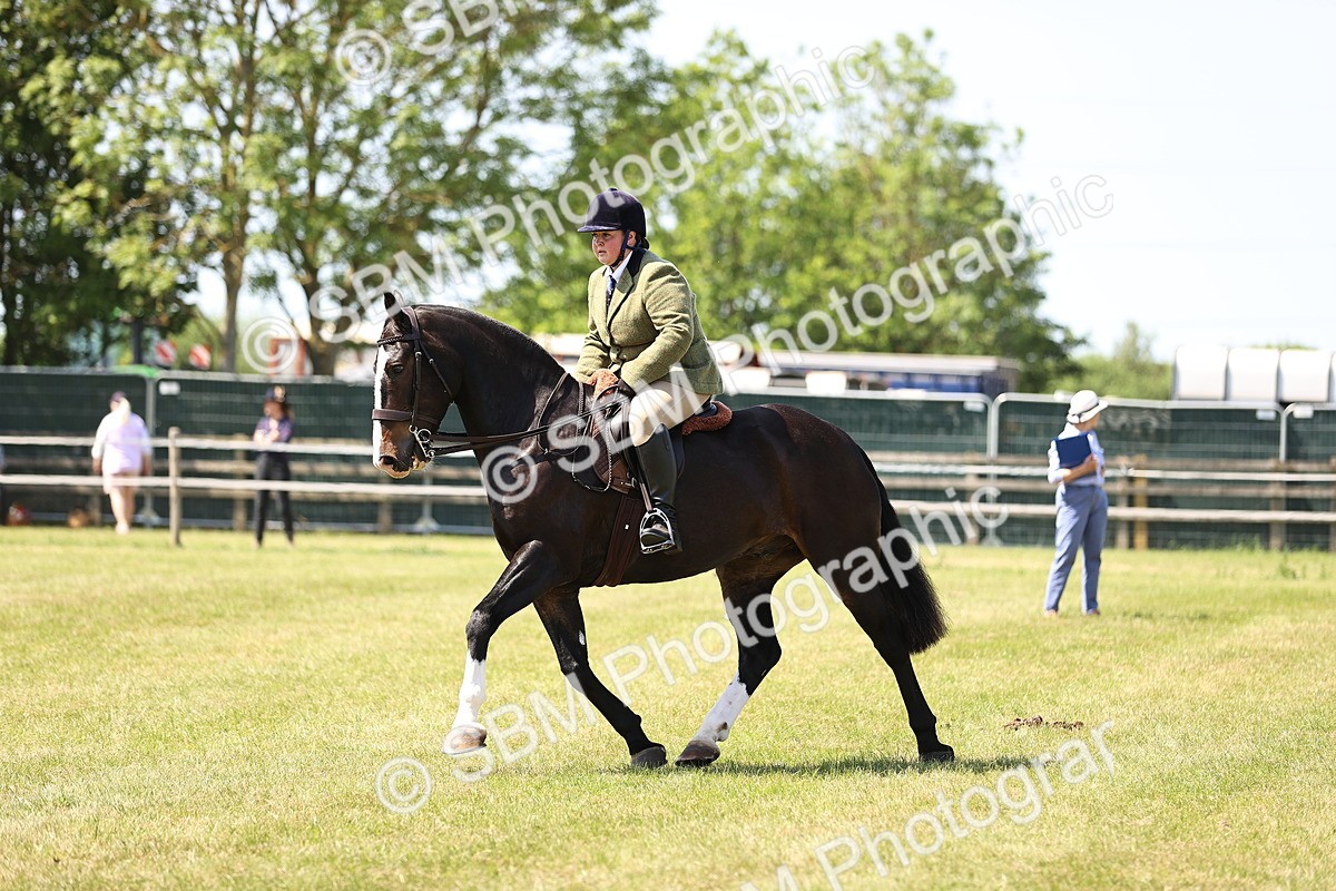 SBM_17854 - Class 81-83 - TSR Ridden Amateur of the Year - Horses