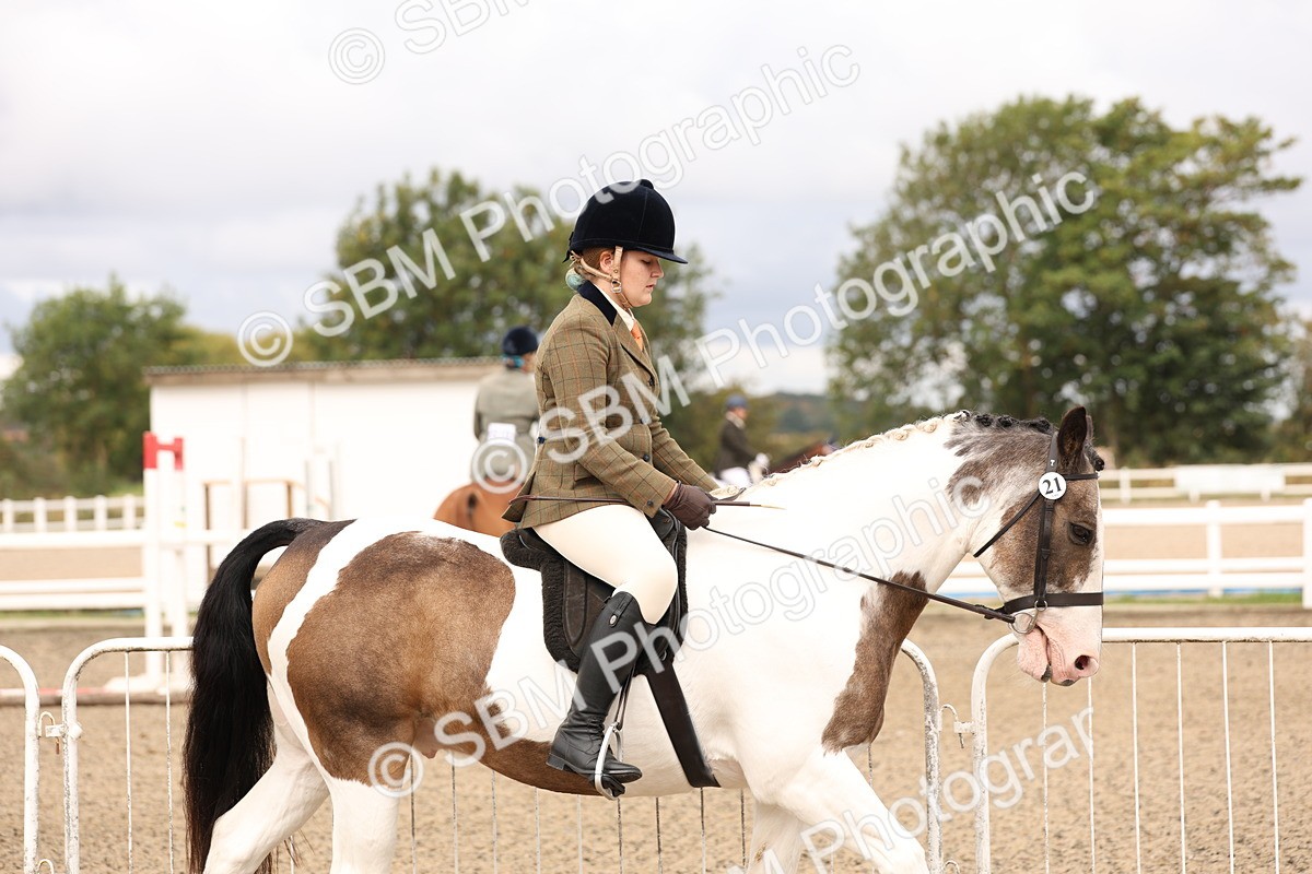 SBM_02772 - Class 53 - Ridden Competition Horse/Pony