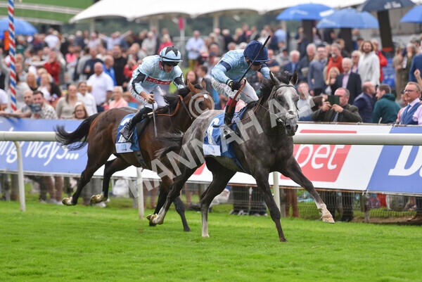 yr19082021r5-26 - Race 5 4.10pm OR8wellness ebfstallions Nursery Handicap
