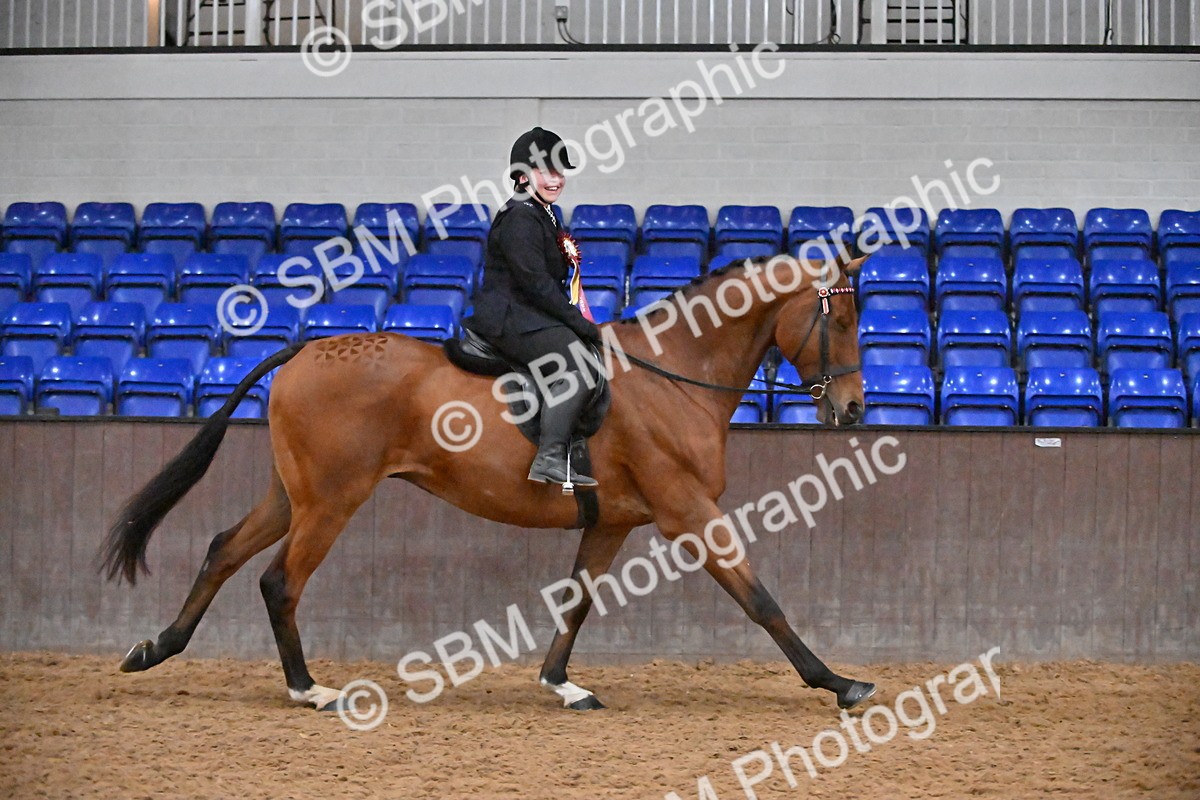 SBM_003076 - Class 37,38 - UKPSAF Performance Horse & Pony