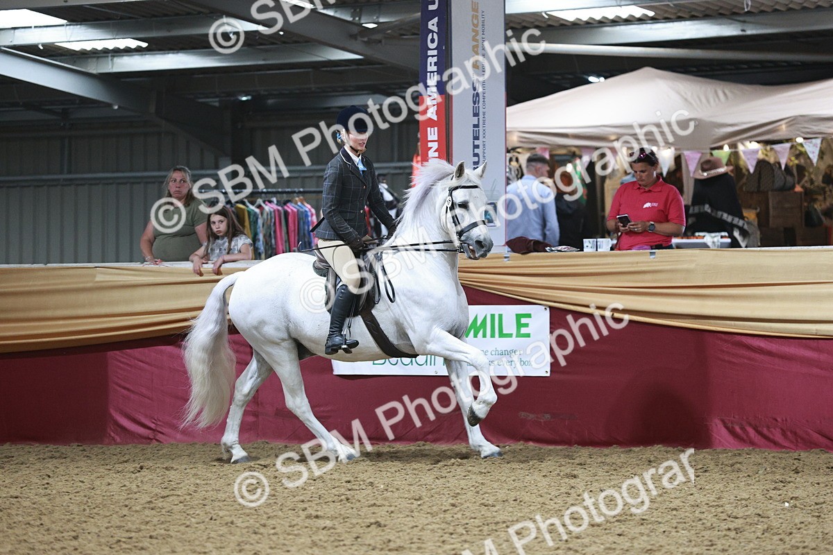 SBM_08896 - Class 12R - Regional Ridden Pre-Vet