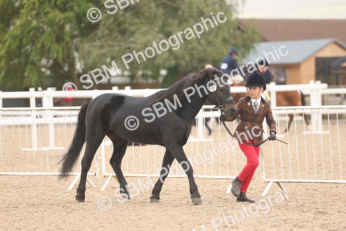 SBM_00491 - Class 13 Young Handler