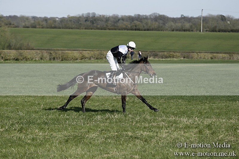 PtP 250317 248 - V.W.H. Hunt Point-to-Point Siddington 25/03/17