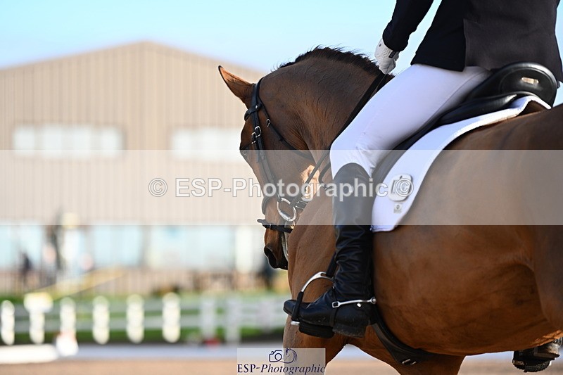 240218A-091235-05262 - 249-Joe.Roome-Acqua.Marina.Della.Caccia