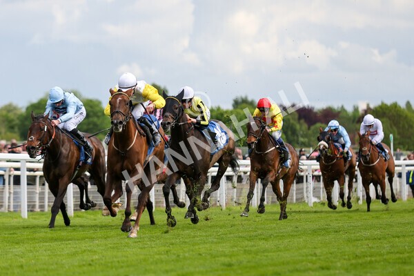 yr11052022r6-14 - Race 6 4.45pm Conundrum HR Consulting Stakes